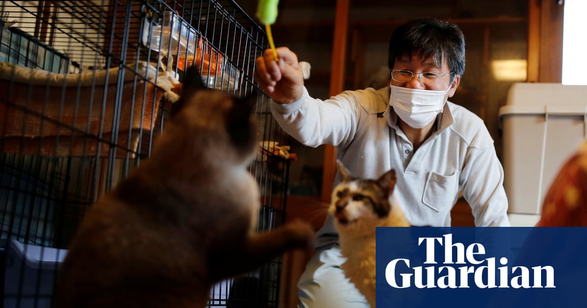 3500.jpg?width=1200&height=630&quality=8