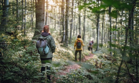 Young people hiking in a forest