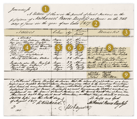 1817 Slave Return for Nathaniel Pearce Rugless of Jamaica