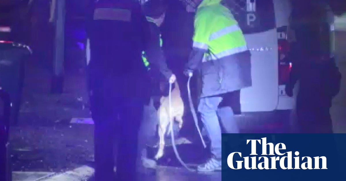 Melbourne dog attack leaves man dead and woman badly injured