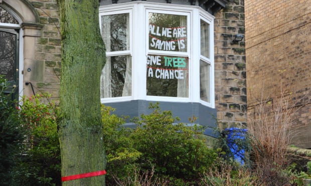 A ribbon marks a tree set for felling beside a protest sign on Rustlings Road, Sheffield