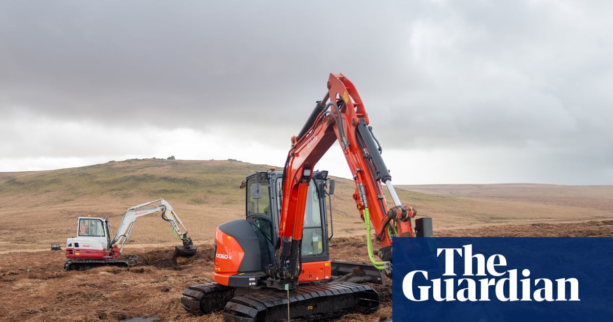 ‘The start of the healing process’: the vital work to restore Britain’s peatlands
