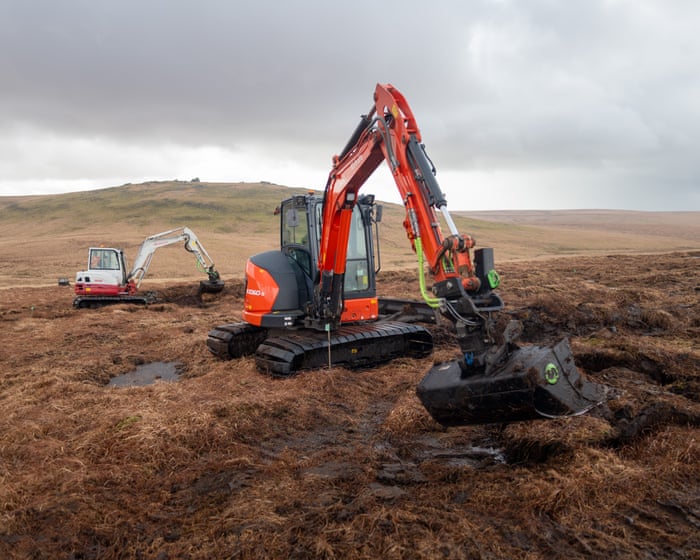 ‘The start of the healing process’: the vital work to restore Britain’s peatlands