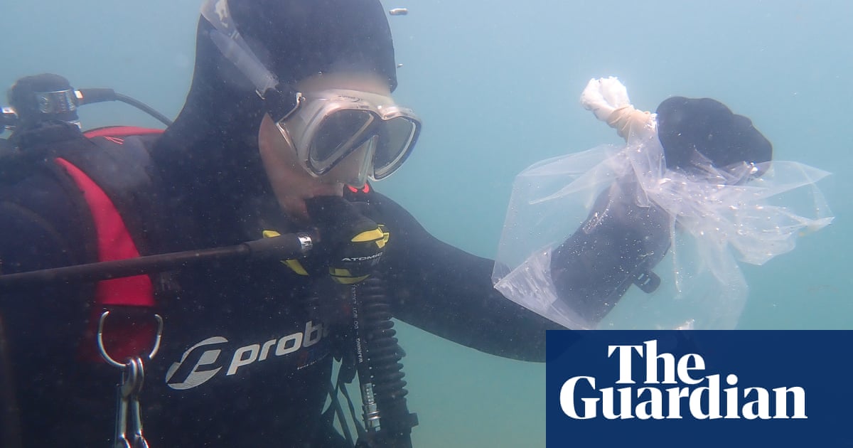 Endangered red handfish returned to the wild off Tasmania after heatwave rescue – video