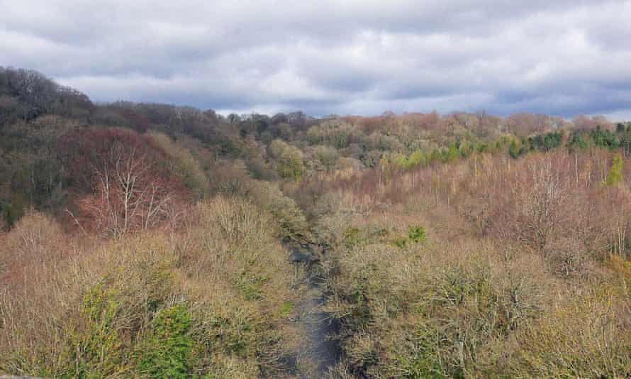 A view from the parapet of Nine Arches viaduct.