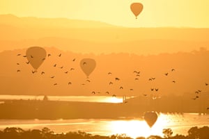 A flock of cockatoos fly near hot air balloons during the Canberra Balloon Spectacular as part of the Enlighten festival on 9 March.