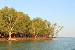 The tropical waters of Darwin harbour