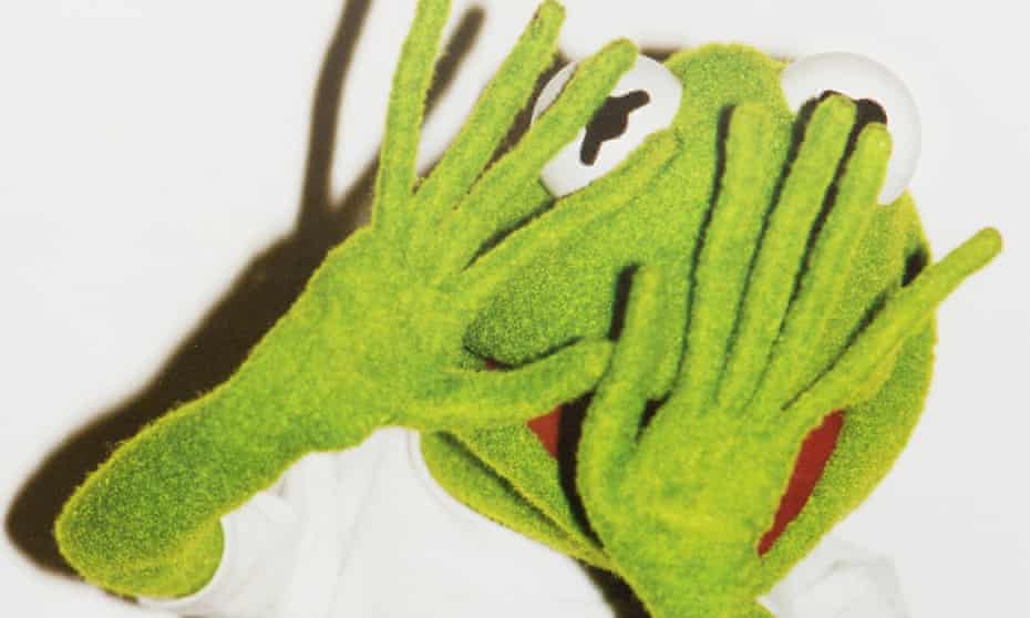 Kermit the frog photographed by Terry Richardson
