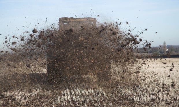 A tractor spreads muck over field of stubble. ‘Most organic agriculture is focused on moo poo,’ says ‘veganic’ farmer Will Bonsall.