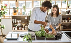 Multi-ethnic couple taking care of kitchen herbs<br>Millennial multi-ethnic couple taking care and watering kitchen herbs at their apartment