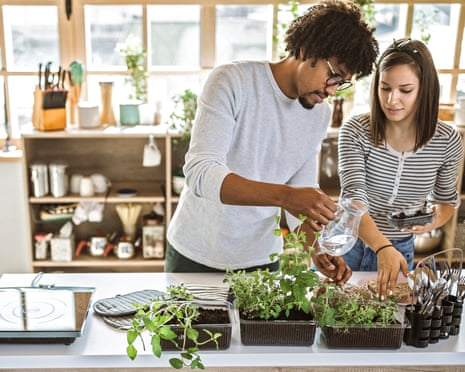 Multi-ethnic couple taking care of kitchen herbs<br>Millennial multi-ethnic couple taking care and watering kitchen herbs at their apartment
