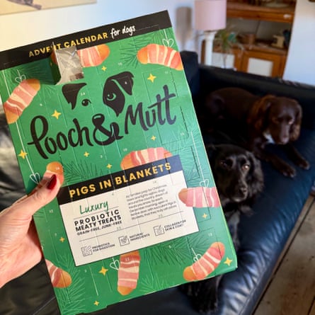 Pooch & Mutt Pigs In Blankets Dog Advent Calendar 2025