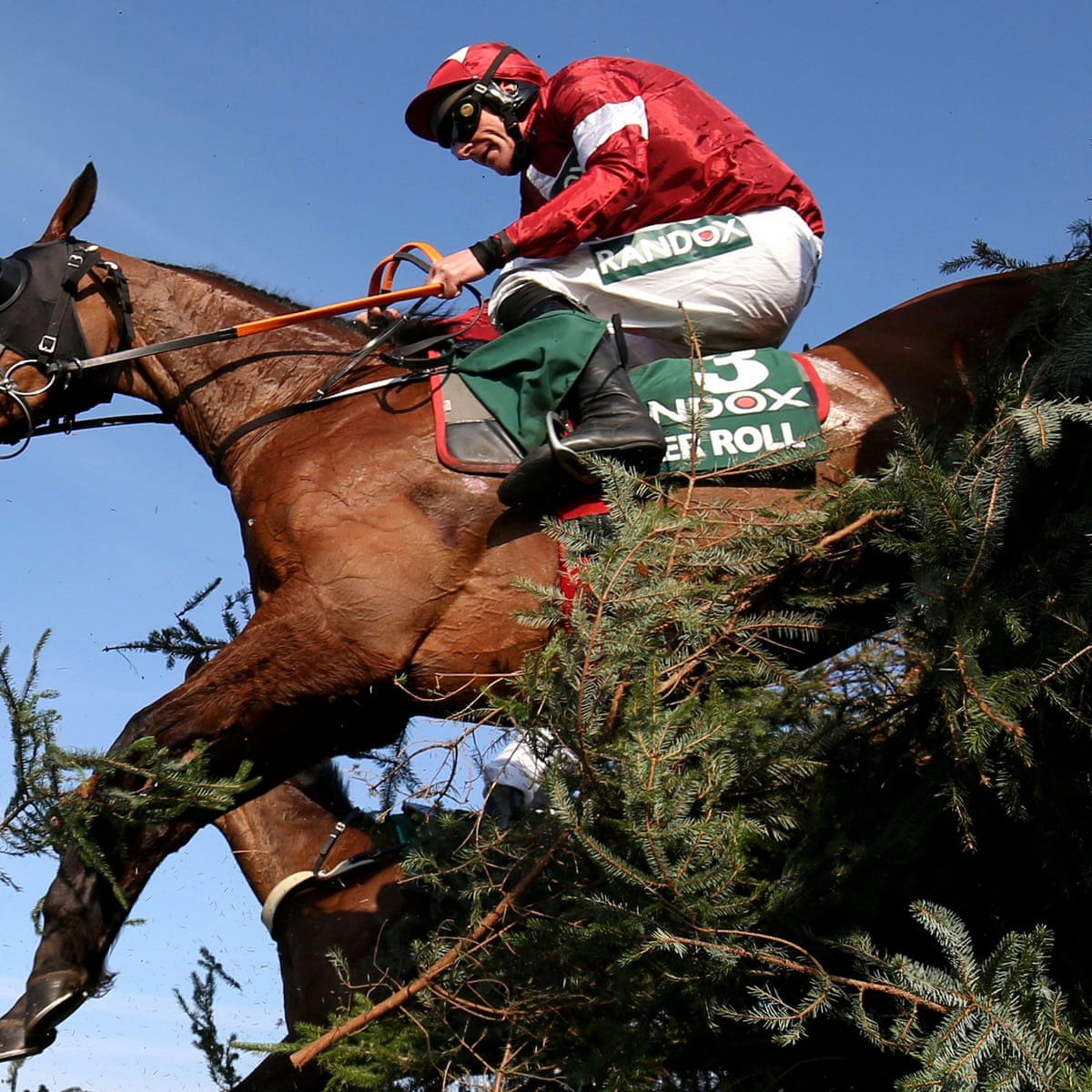 Talking Horses Tiger Roll Is Back At Aintree But Not In The Right Race Grand National The Guardian 2022 Grand National Championship Show Forms