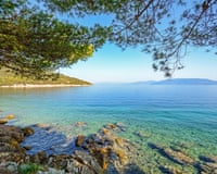 Pine branches frame a rocky Cres Island shoreline overlooking clear turquoise sea near Valun