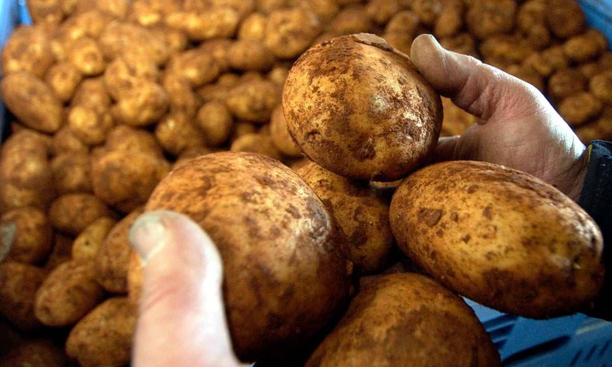 Court throws out Perth 'potato king' Tony Galati's appeal against injunction | Western Australia | The Guardian