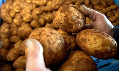 Australian unwashed potatoes. 