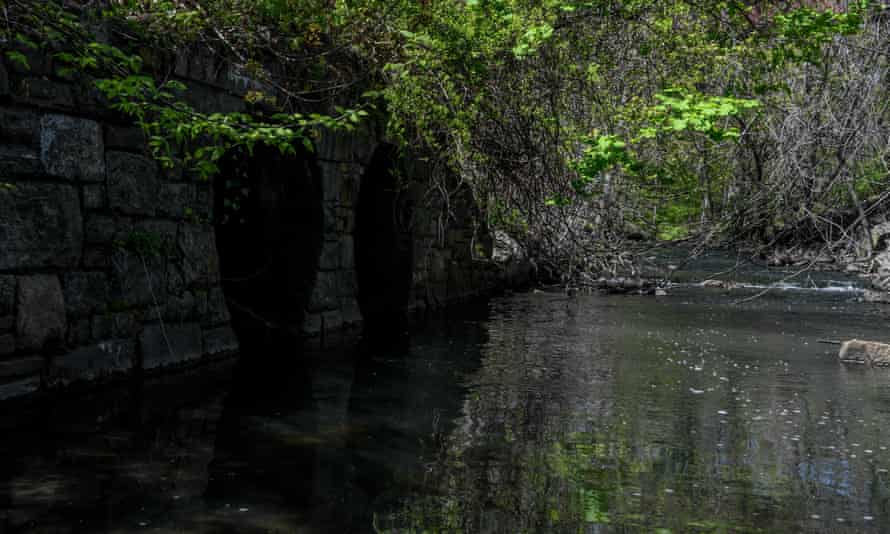 When it rains, a storm drain discharges sewage into the Hutchinson River in Mount Vernon.
