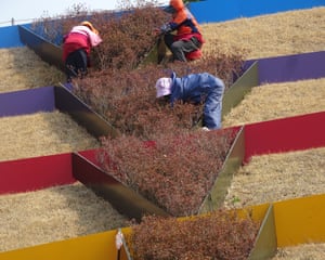 Suncheon, South Korea ‘Pruning the azaleas at the Suncheonman national garden. The next day it rained, and the grass turned from brown to green.’