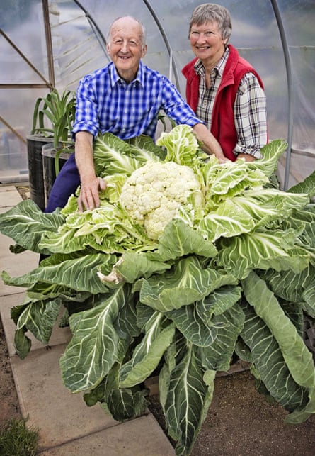 Peter Glazebrook and his wife, Mary, with his world-record cauliflower in 2014