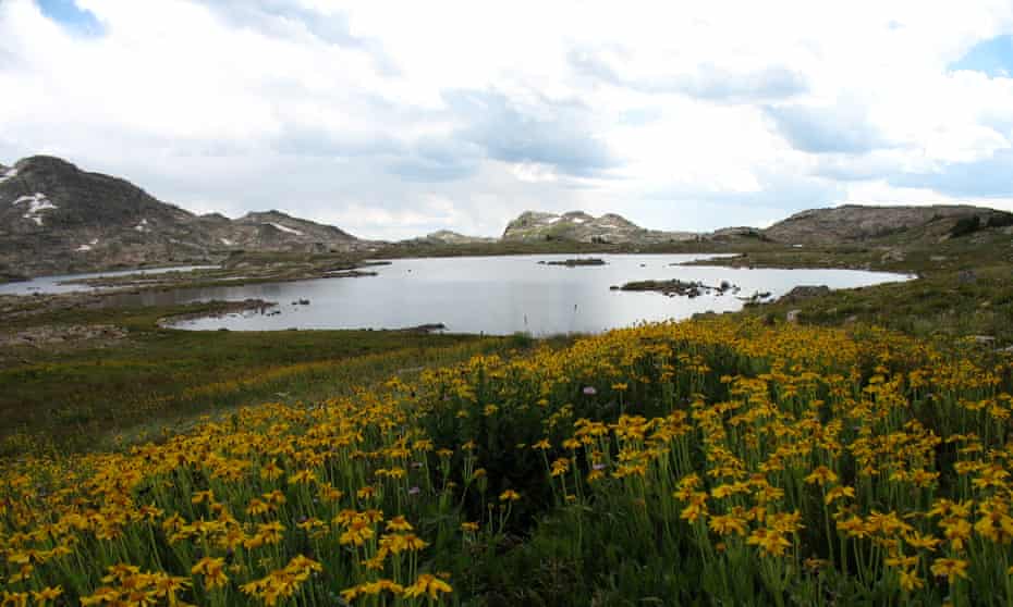 The Absaroka-Beartooth Wilderness flanks proposed gold mine sites in Montana’s Paradise Valley. 