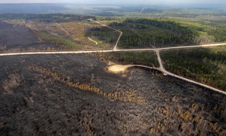 A burned landscape on Thursday caused by wildfires in Alberta. Firefighters were working to prevent blazes from becoming ‘too big and powerful’.