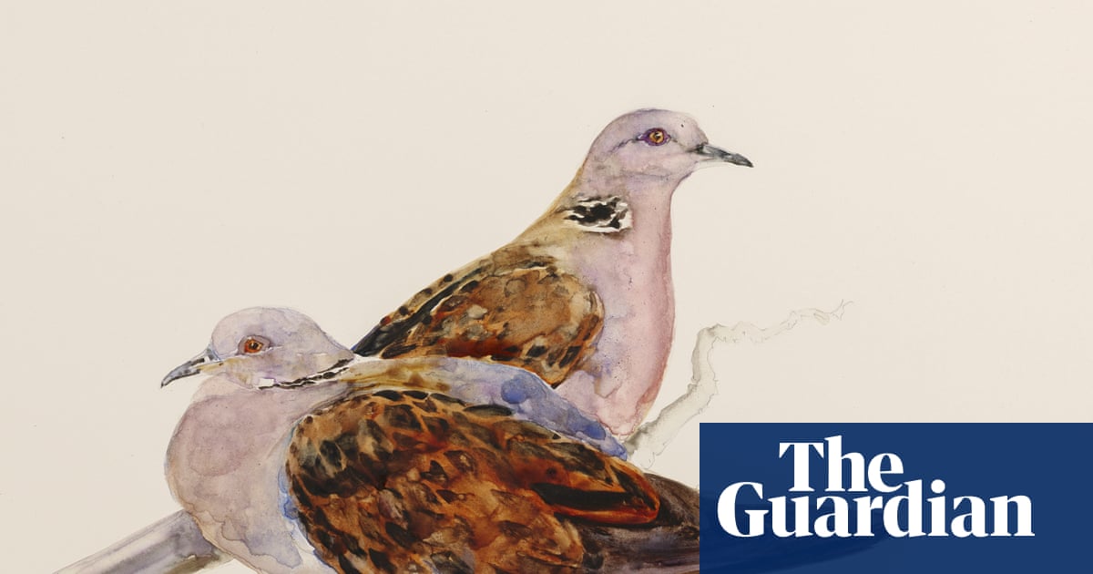 To give young people wings: The Lost Words duo reunite for book of birds