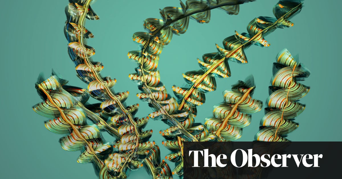 Sobre una ala y una oración: la belleza oculta del vuelo de los insectos – en imágenes | Arte y diseño Sobre una ala y una oración: la belleza oculta del vuelo de los insectos – en imágenes | Arte y diseño