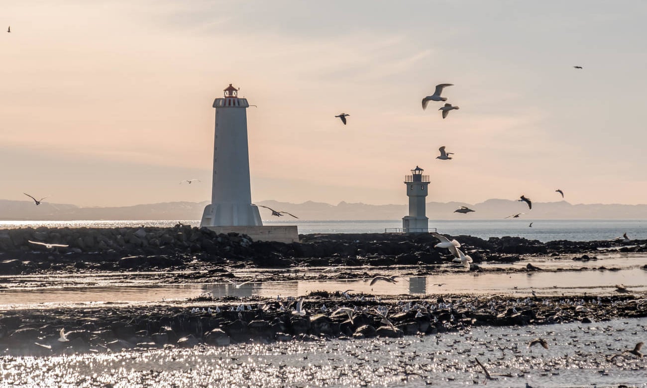 Lighthouses with seabirds, Akranes, Iceland