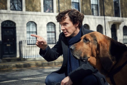 Benedict Cumberbatch and bloodhound on the set of Sherlock, 2016.