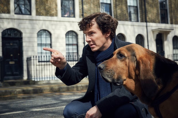 Benedict Cumberbatch and bloodhound on the set of Sherlock, 2016.