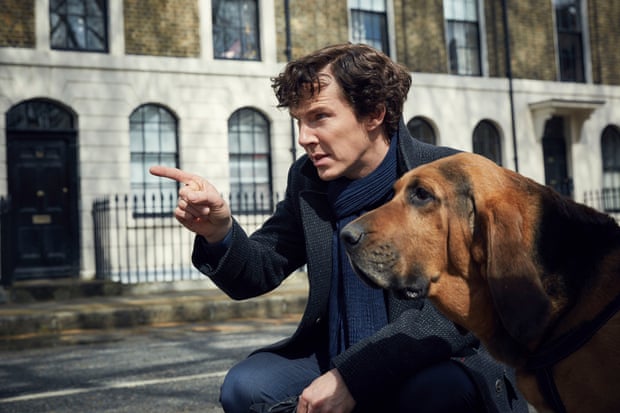 ‘Insane rightwing misogynist? I’m none of these issues!’ Steven Moffat on Physician Who, his Baftas and his critics | Tv 2 Benedict Cumberbatch and bloodhound on the set of Sherlock, 2016.