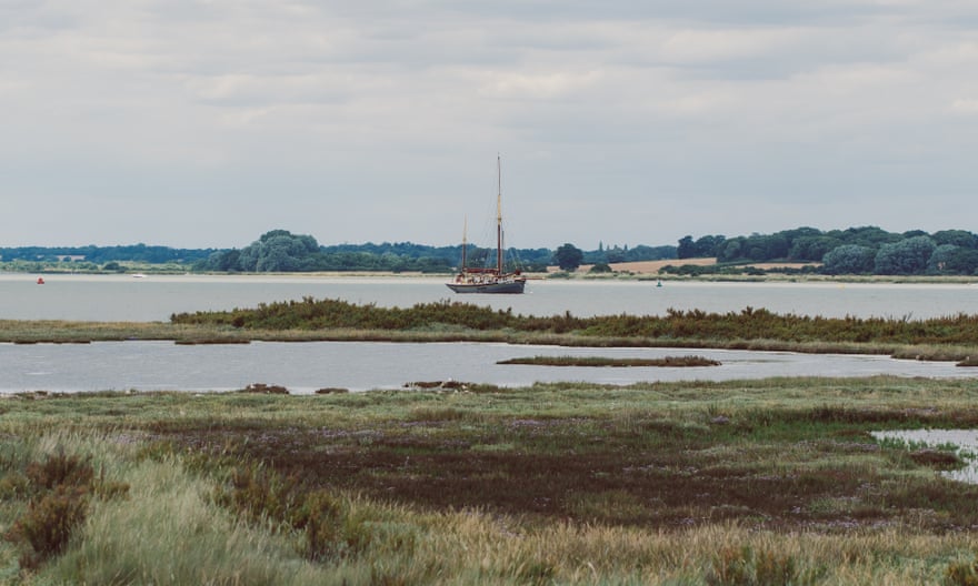 Boats regularly appear in the distance, drifting on inlets and creeks.