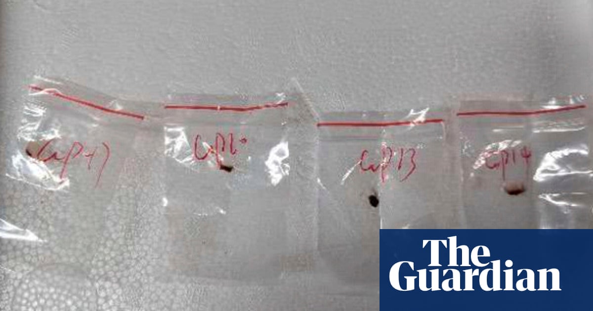 US arrests another Chinese scientist for allegedly smuggling biological material