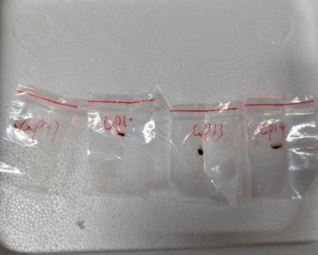 US arrests another Chinese scientist for allegedly smuggling biological material