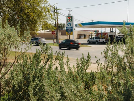 A 7-Eleven convenience store and gas station surrounded by vegetation.
