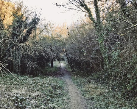 Country diary: Mammoth and bear, replaced by mattress and beer can | Michael J Warren