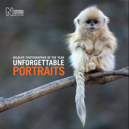 Unforgettable portraits book cover
