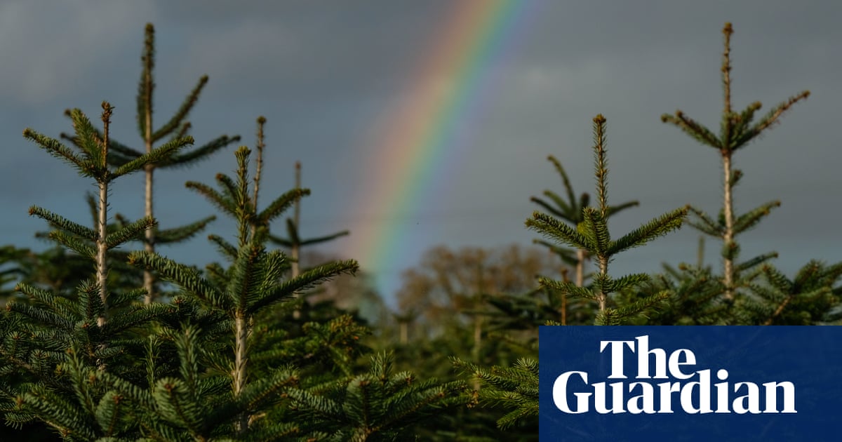 Our environment is for life, not just for Christmas | Letters