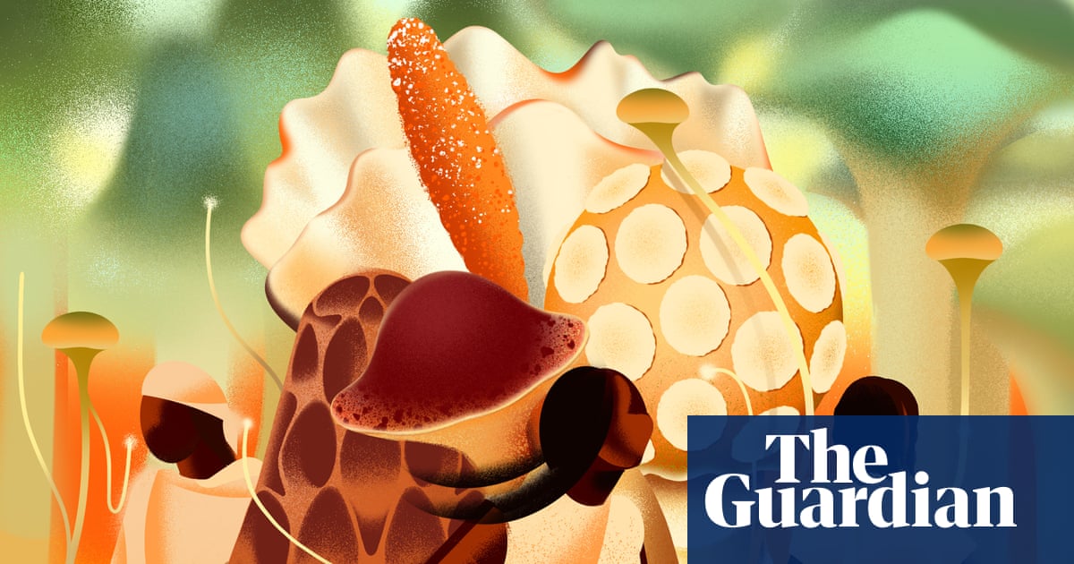 It didn't seem real': the Black mushroom hunters unearthing the US's essential fungi