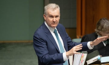 Workplace relations minister Tony Burke