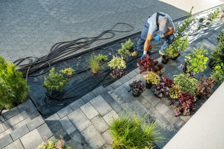 A gardener waters plants under a membrane, and pots on top of paving