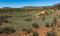 Vergemont Station in central Queensland has been acquired in a joint purchase between the state government and the Nature Conservancy following a $21m anonymous donation.