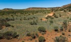 300,000ha Queensland cattle station bought for conservation after $21m donation