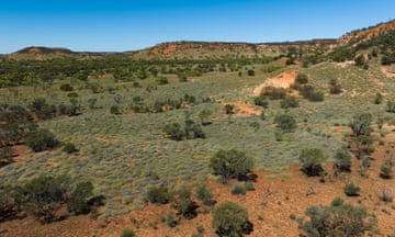 Vergemont Station in central Queensland has been acquired in a joint purchase between the state government and the Nature Conservancy following a $21m anonymous donation.