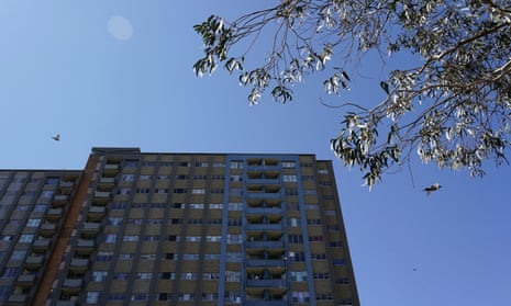 Pigeons fly past a public housing tower in Redfern.