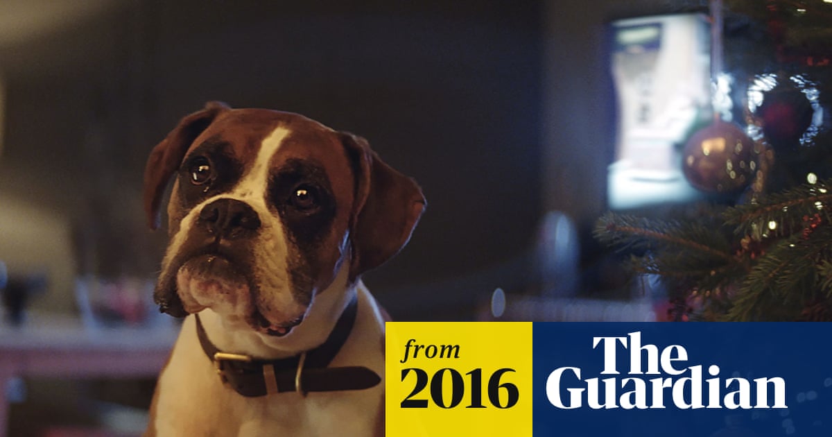 John Lewis 2016 Christmas Advert Meet Buster Video Global The Guardian