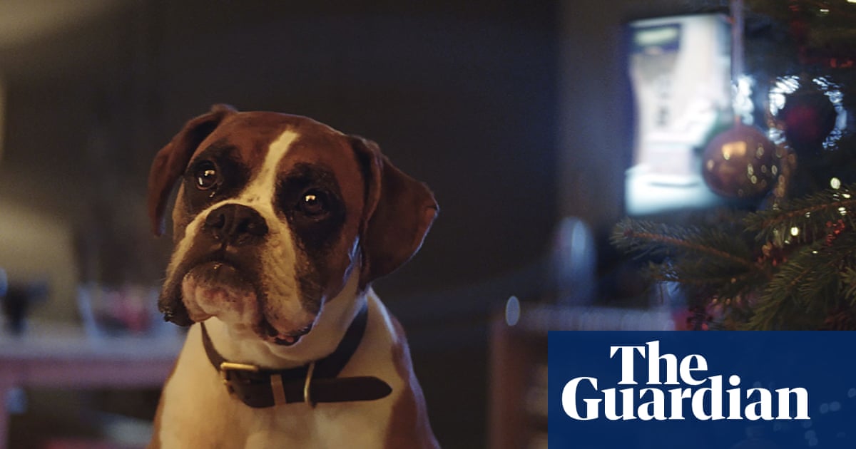 John Lewis Unveils Christmas Ad Starring A Dog On A Trampoline Media The Guardian