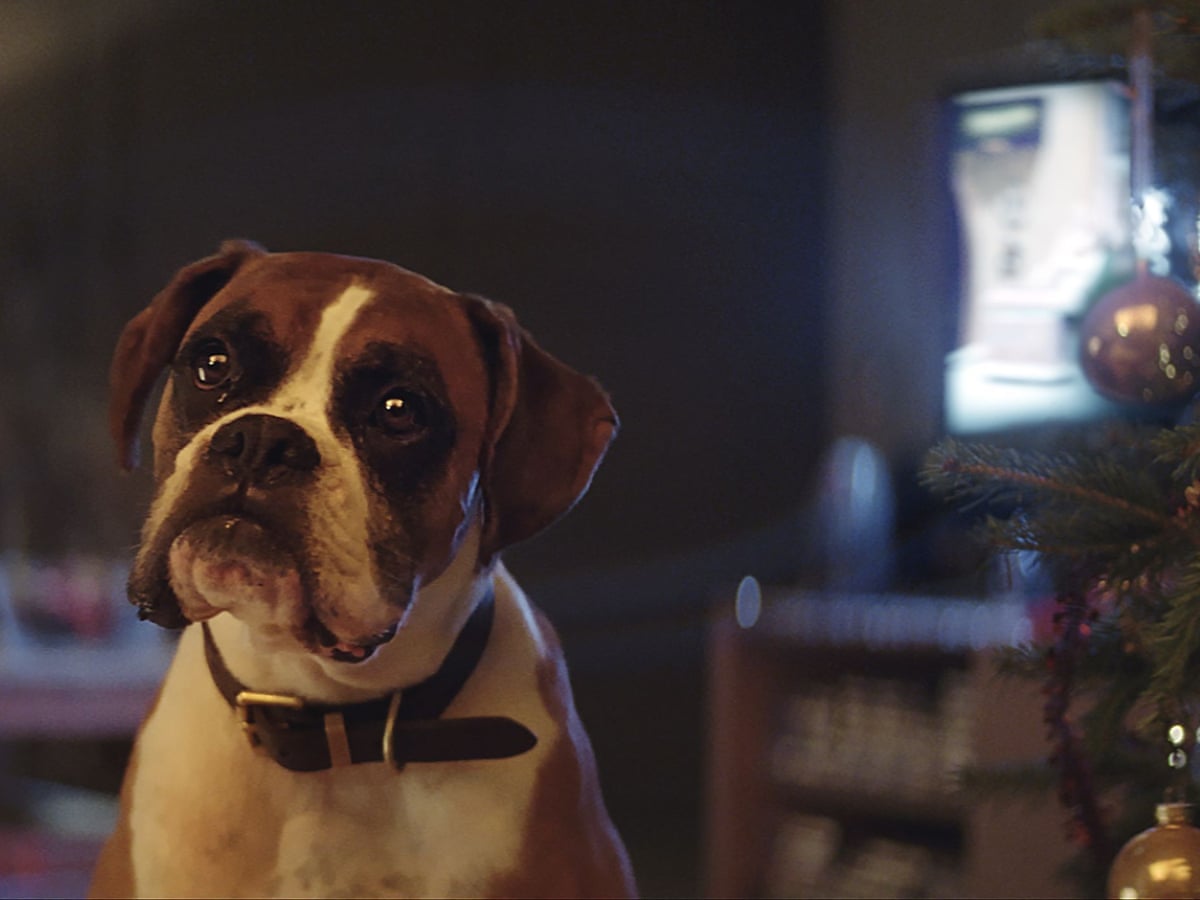 John Lewis Unveils Christmas Ad Starring A Dog On A Trampoline Media The Guardian