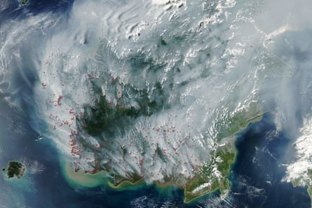 A Nasa satellite of Borneo with red dots showing places where fires have been detected.