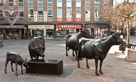 John McKenna’s bronze statues of Jersey cows in St Helier.